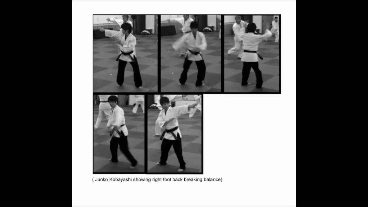 hapkido books by Scott Williams 4th Dan