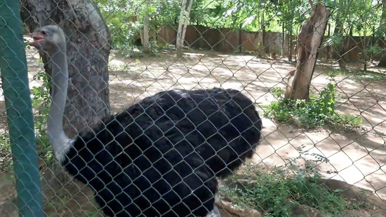 Mostrando para vocês o Parque da Matinha em Itapetinga Bahia.