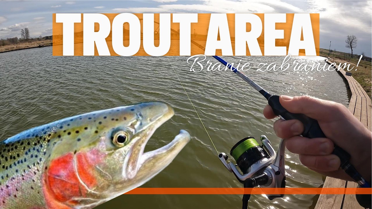 Trout Area. Branie za braniem!