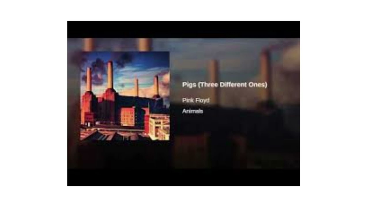 Pigs (Three Different Ones), Pink Floyd - NO DRUMS