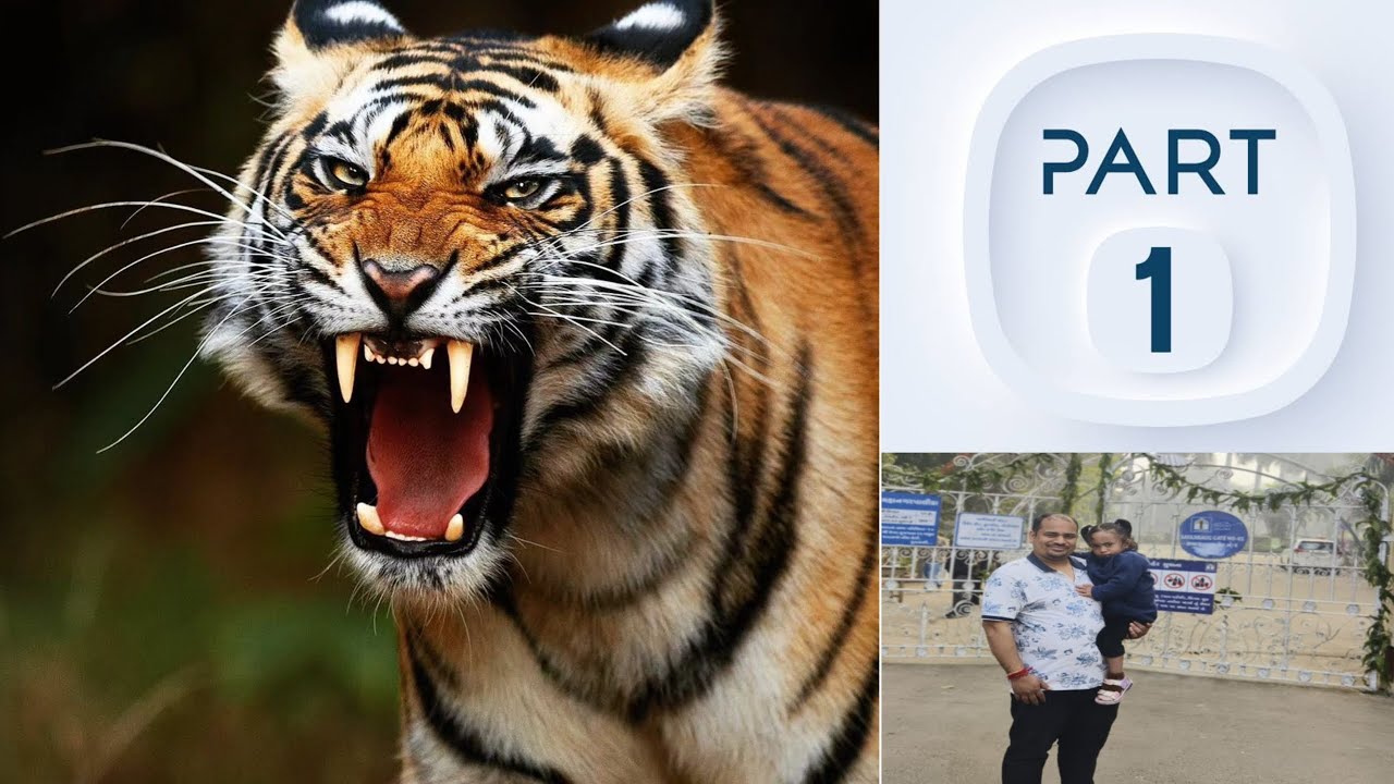 Family Day Out in Vadodara (Gujarat) Zoo 🦁 | Garden 🏡 Fun 😊 + Candy Floss 🍭| Part 1