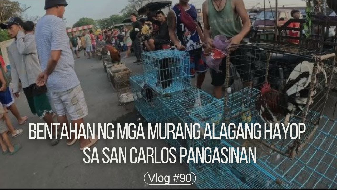 Bentahan ng mga murang alagang hayop sa San Carlos Pangasinan