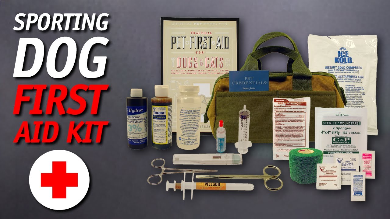 Steve's Reviews: Sporting Dog First Aid Kit