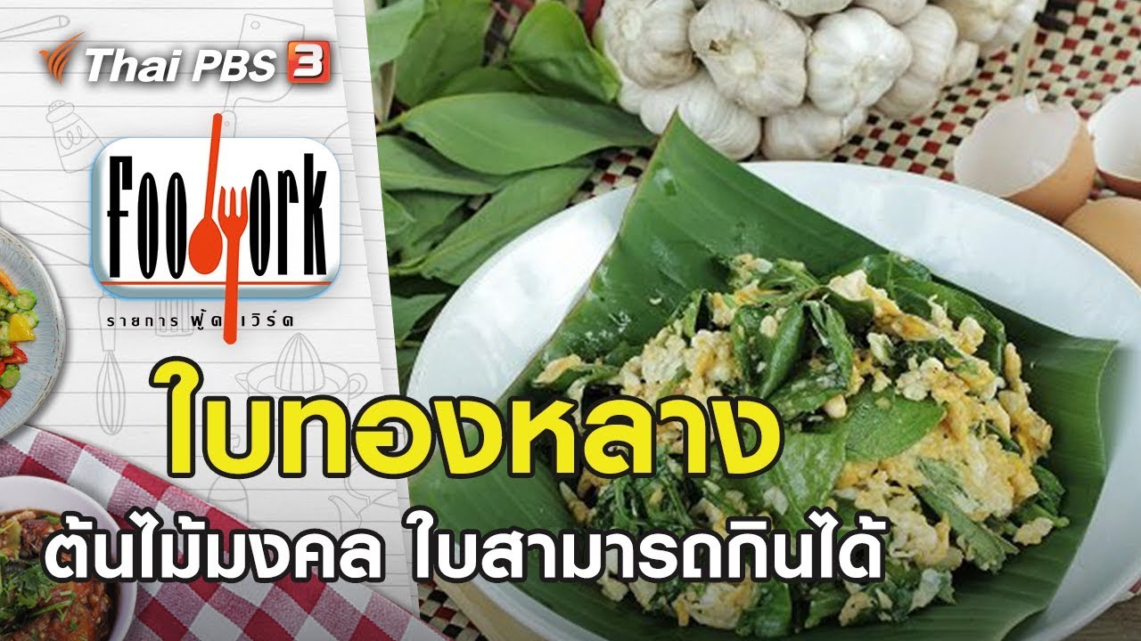 ใบทองหลาง : Foodwork (6 ต.ค. 62)