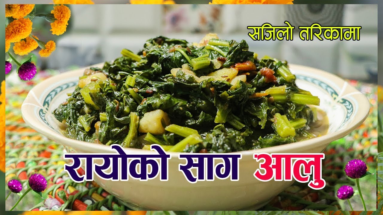 रायोको साग र आलु को सब्जी । rayo ko saag ra aloo | saag recipe | rayo ko saag | sajilo kitchen
