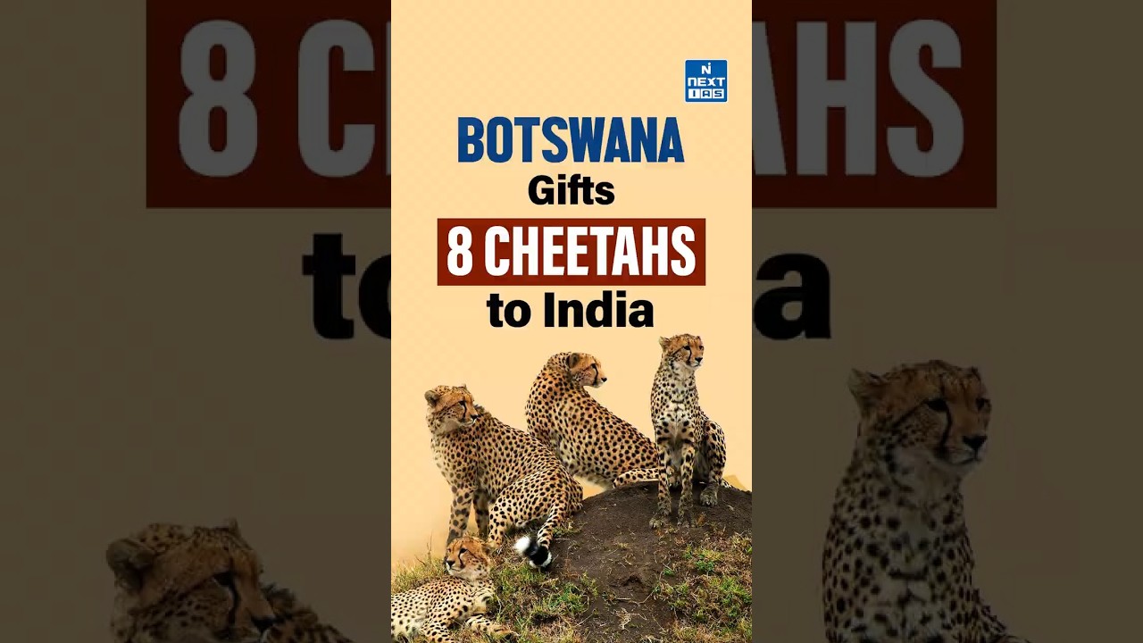 Botswana Gifts 8 Cheetahs to India, supports Project Cheetah!