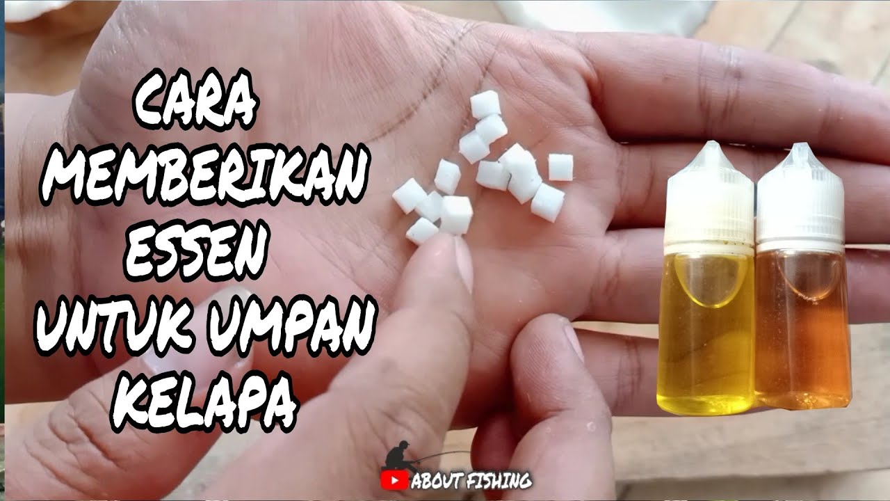 Rahasia Mengolah Umpan Kelapa / Kambil Untuk Umpan Ikan Bawal