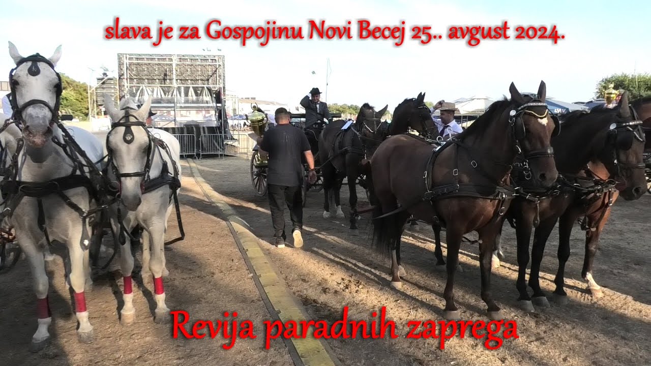 Gospojina Novi Bečej Revija paradnih zaprega 25.08.2024.