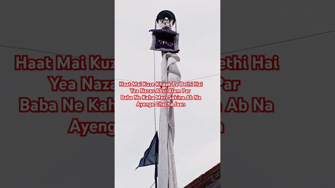 Bali Sakina noha #noha #Bali #sakina #foryou #muharram #newnoha2024 #muharram2024  #muharram1446