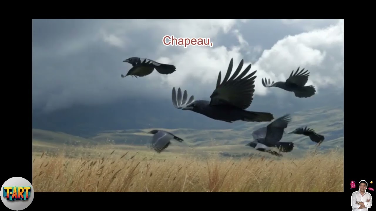 La Vérité Sombre Sur Les Corbeaux Et Leur Incroyable Capacité À Mémoriser Les Ennemis Sur Plusieurs