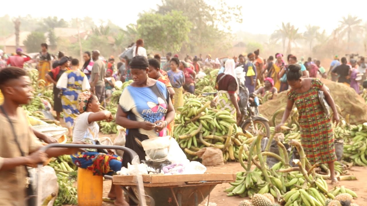 EDO: A VISIT TO IGUOBAZUWA MARKET EPISODE 2    IGUOBAZUWA MARKET DAY OVIA SOUTH WEST L.G.A