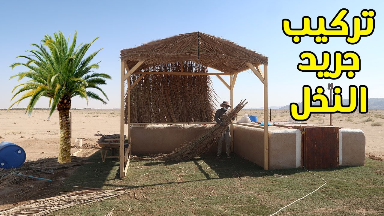 ركبت جريد النخل على مظلة الحديقة 🌴😍