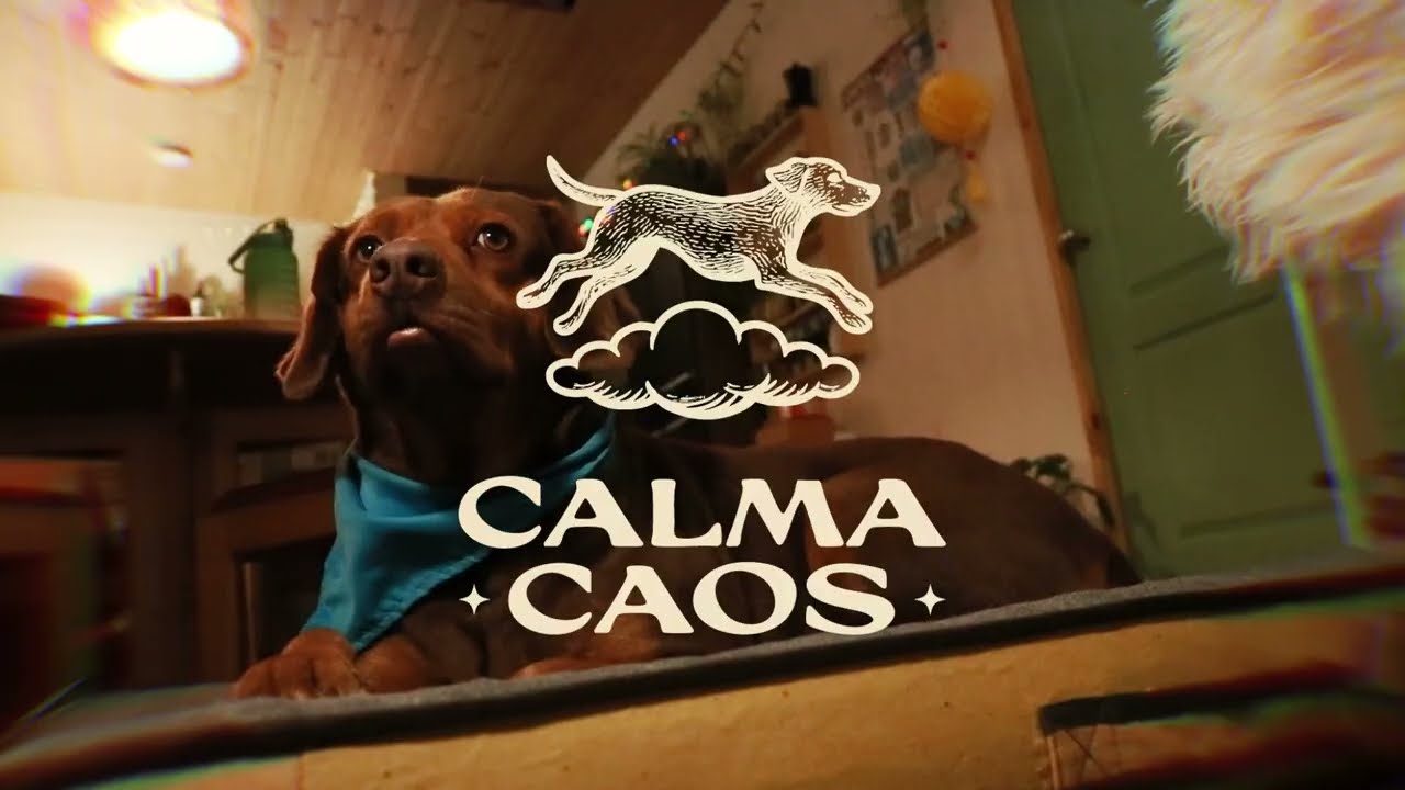 CalmaCaos - Calma (Official Video)