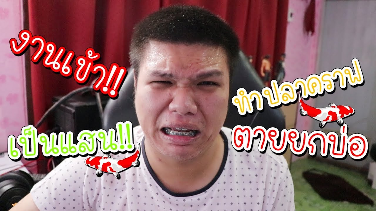 บันทึก ด.ช.ปริม | Ep.4 | ซนจัด !! ปลาคราฟตายทั้งบ่อ หมดเป็นแสน !!