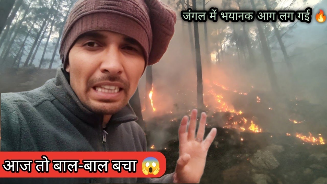 “आज तो बाल-बाल बचे 😱 | जंगल में भयानक आग लग गई 🔥 | सच्ची घटना”