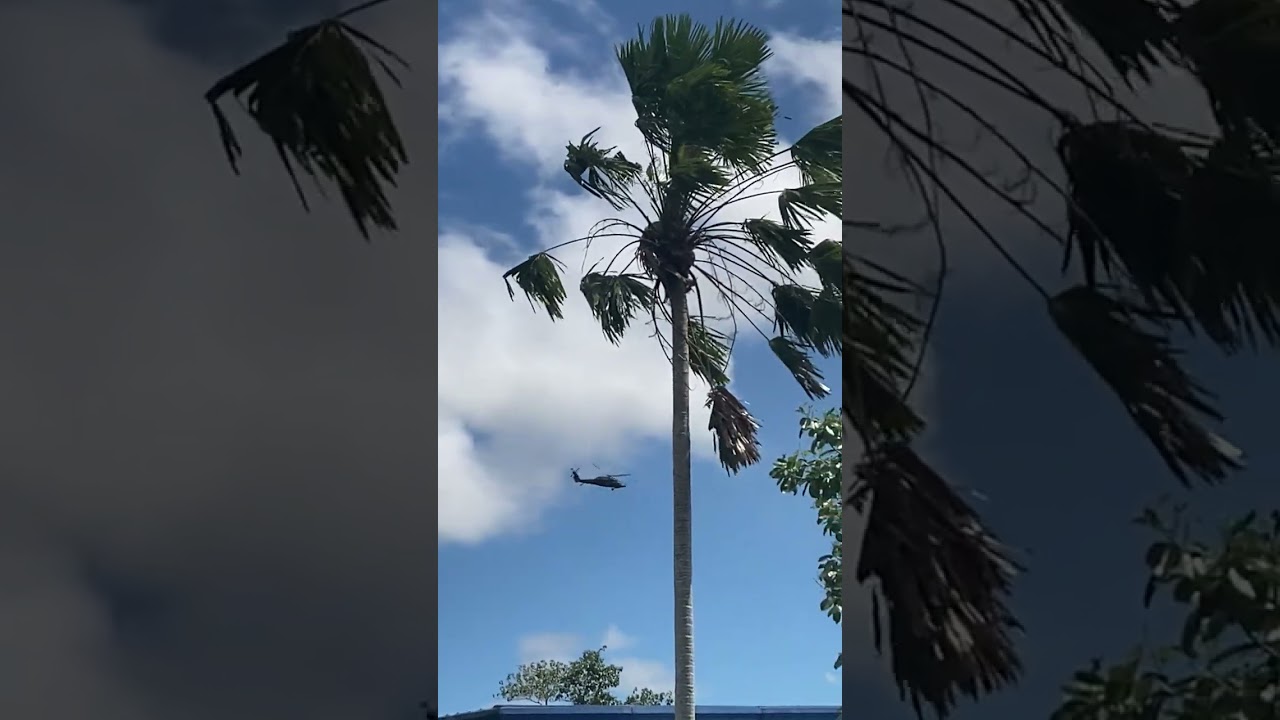 PAF S70i circles and lands