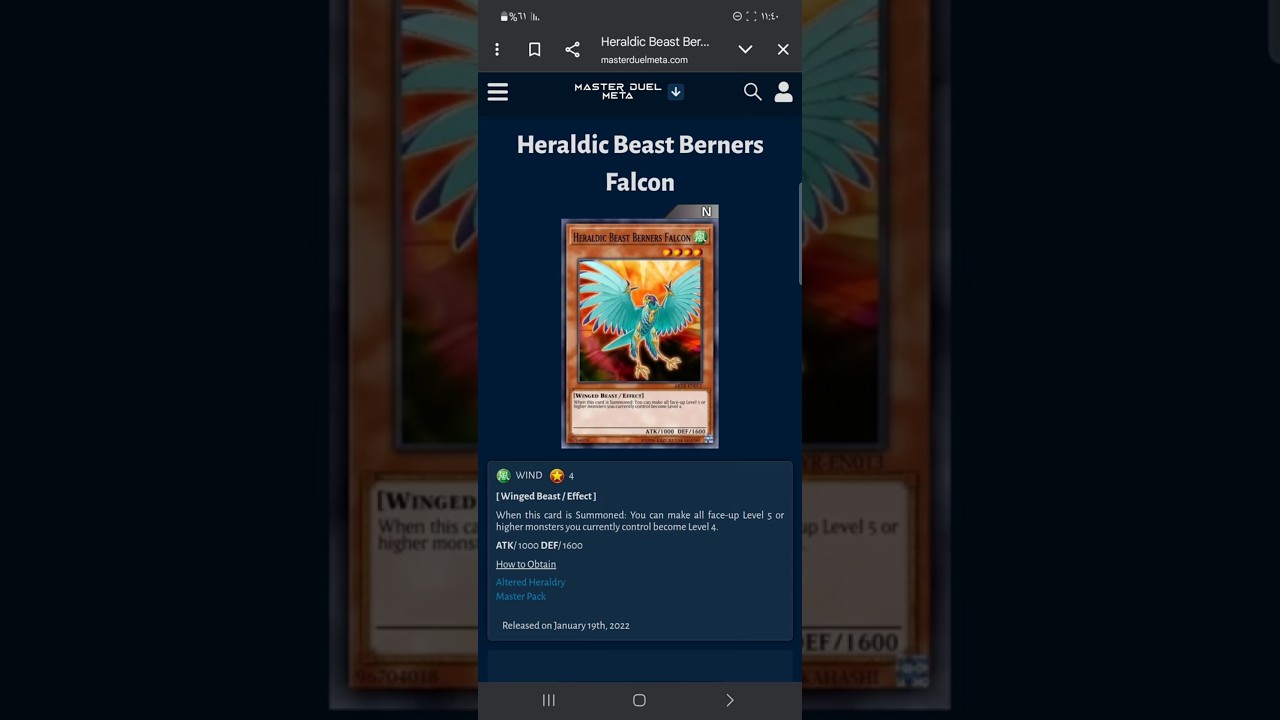 شرح بطاقات ماستر دول وحش(Heraldic Beast Berners Falcon)