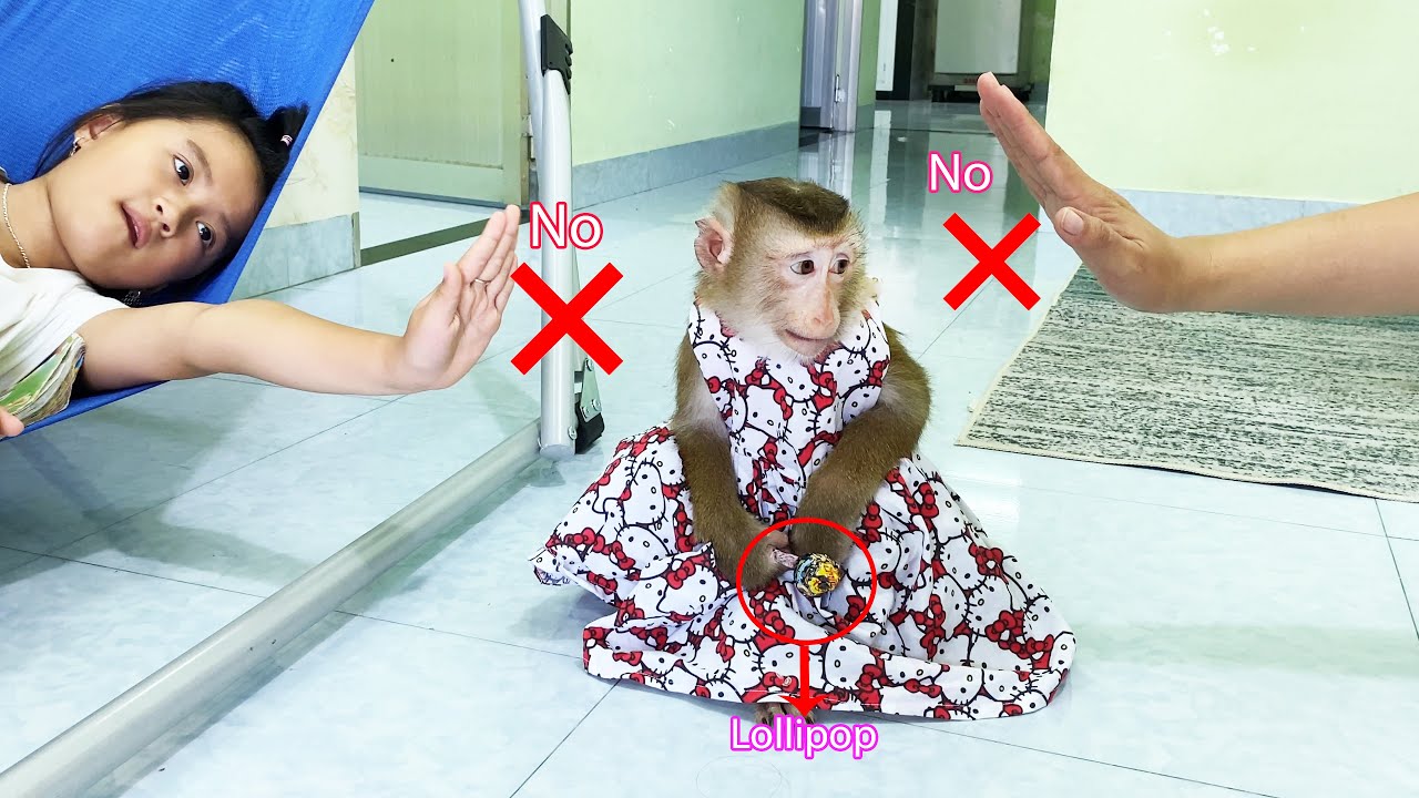 Monkey Lyly was disappointed because no one opened the candy for her