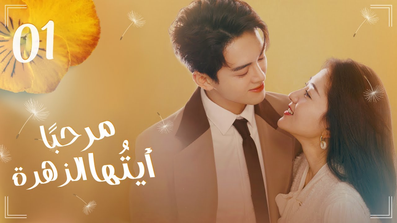 المسلسل الرومانسي الكوميدي