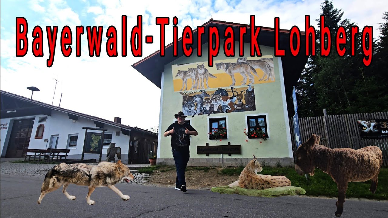 Bayerwald-Tierpark Lohberg im Bayerischen Wald am Großen Arber Berg besucht Justus König J.K