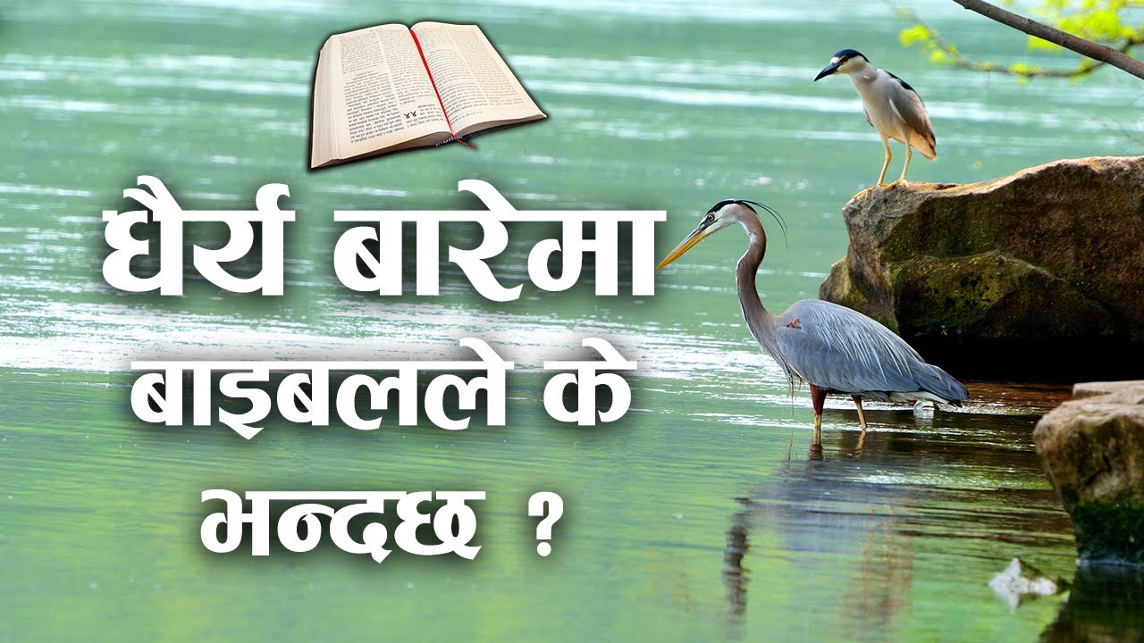 What does the Bible say about patience? | Message by Roshan Magar | Bachan tv