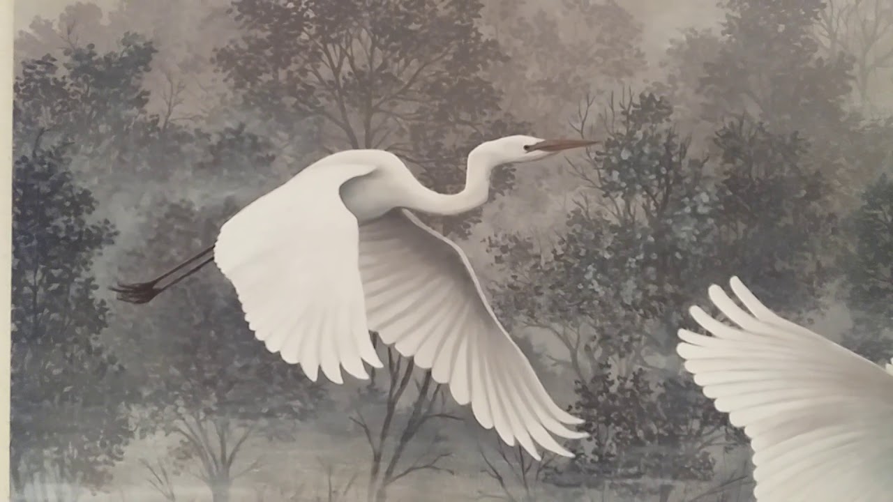 Great White Egrets
