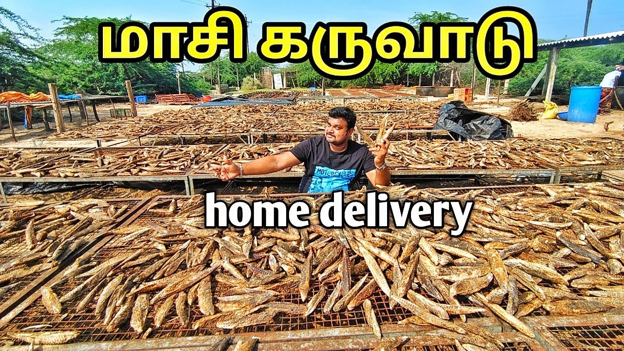 தூத்துகுடி முதல் உலக நாடு வரை | Export ஆகும் தரமான மாசி கருவாடு | dry fish process |Yummy vlog