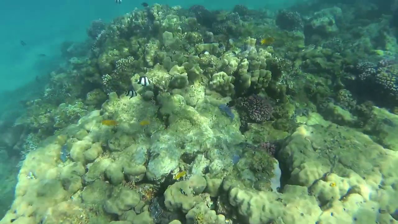 Hurghada 12.2019 Desert Rose Resort Lagoon