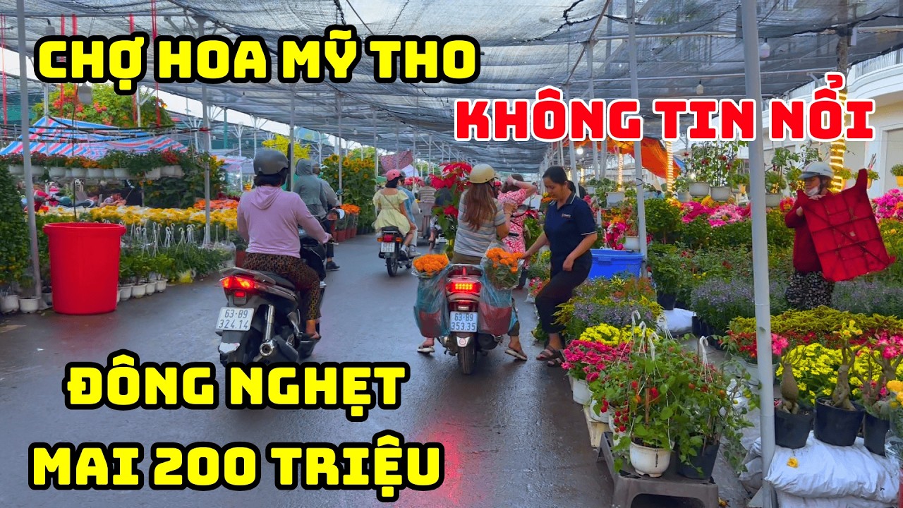 Sốc Giá Mai Tết Ở Chợ Hoa Mỹ Tho 2026 – Có Cây Hơn Cả Trăm Triệu?!
