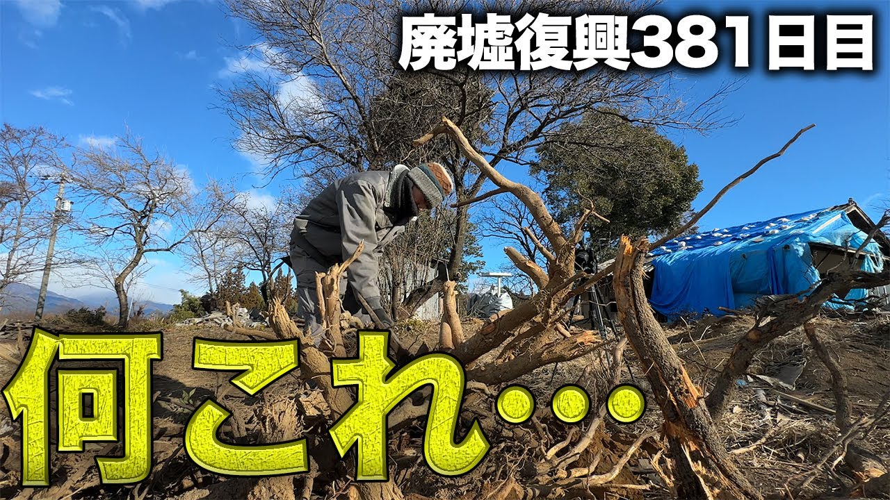 【衝撃】庭の片付けに大苦戦、大量の根っこがヤバかった…【381日目】