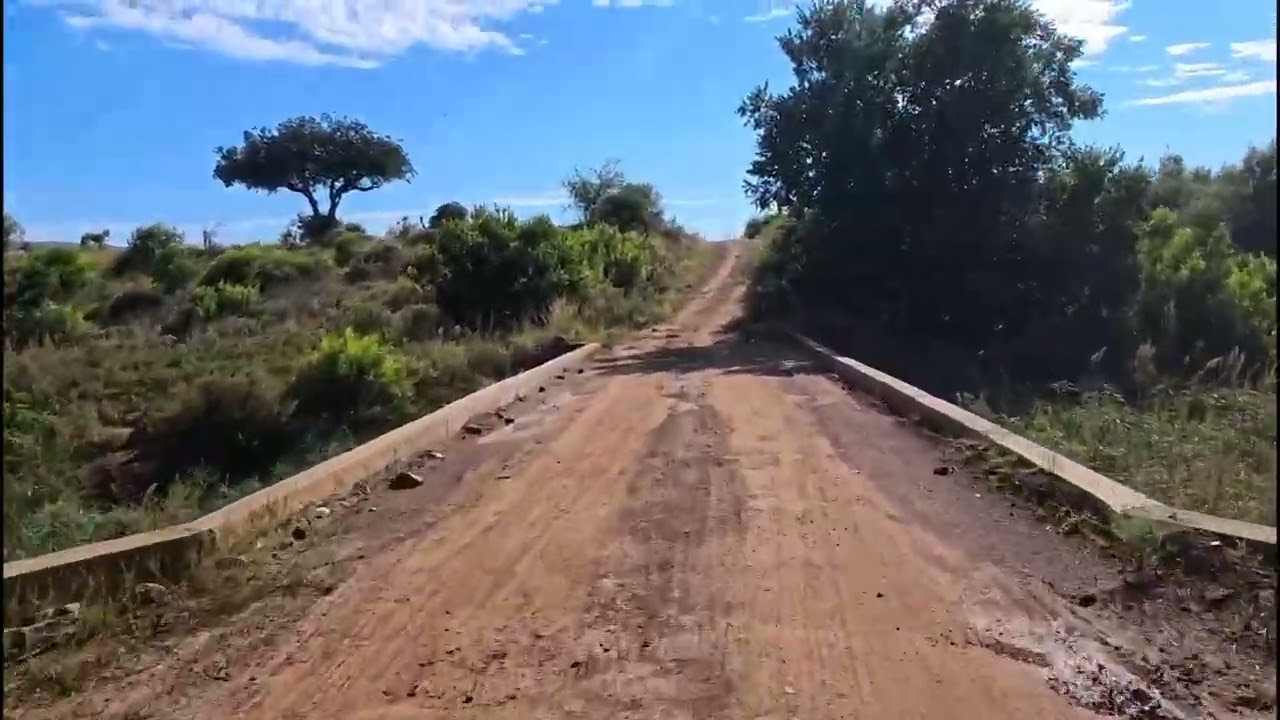 19022026 BY CAR SOUTH AFRICA Pilannesberg NP.