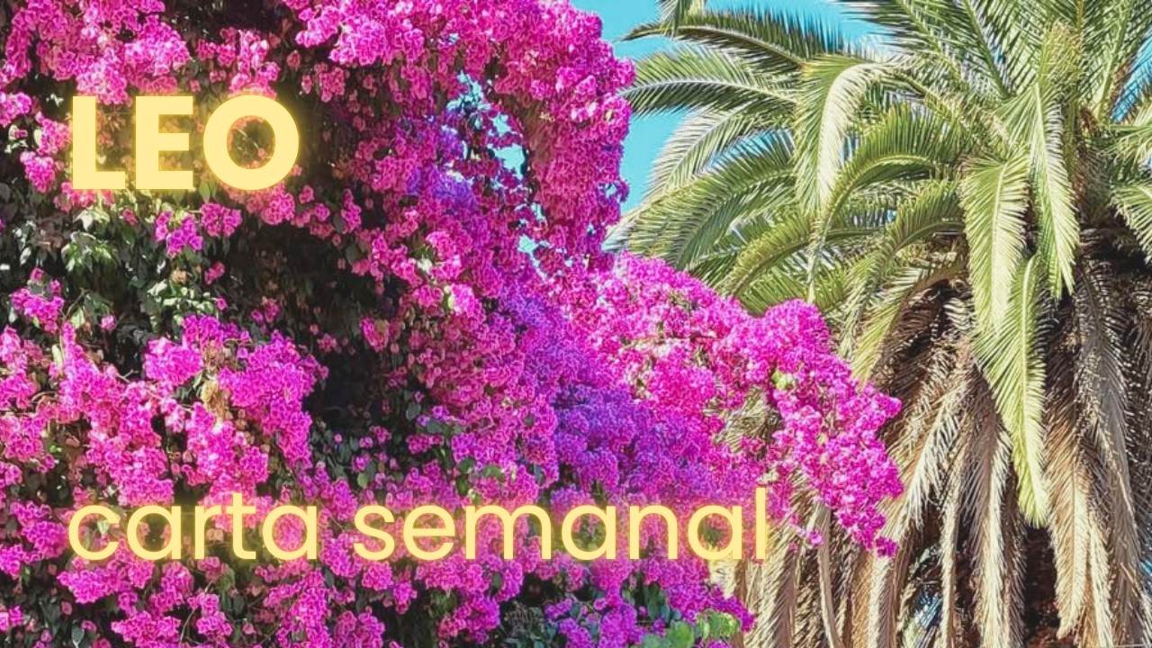 Leo | Con una nueva actitud, tomas un nuevo rumbo. | Carta semanal de tarot