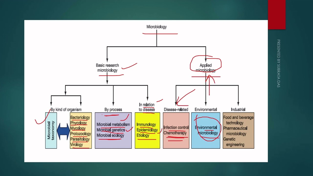 FIELDS IN MICROBIOLOGY IN ENGLISH