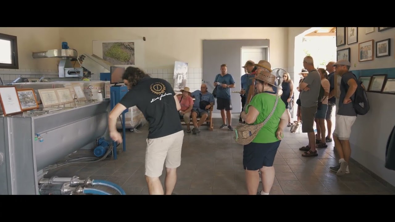 The Governor's Olive Mill - Corfu Olive Tour | #corfu #tourism #tour