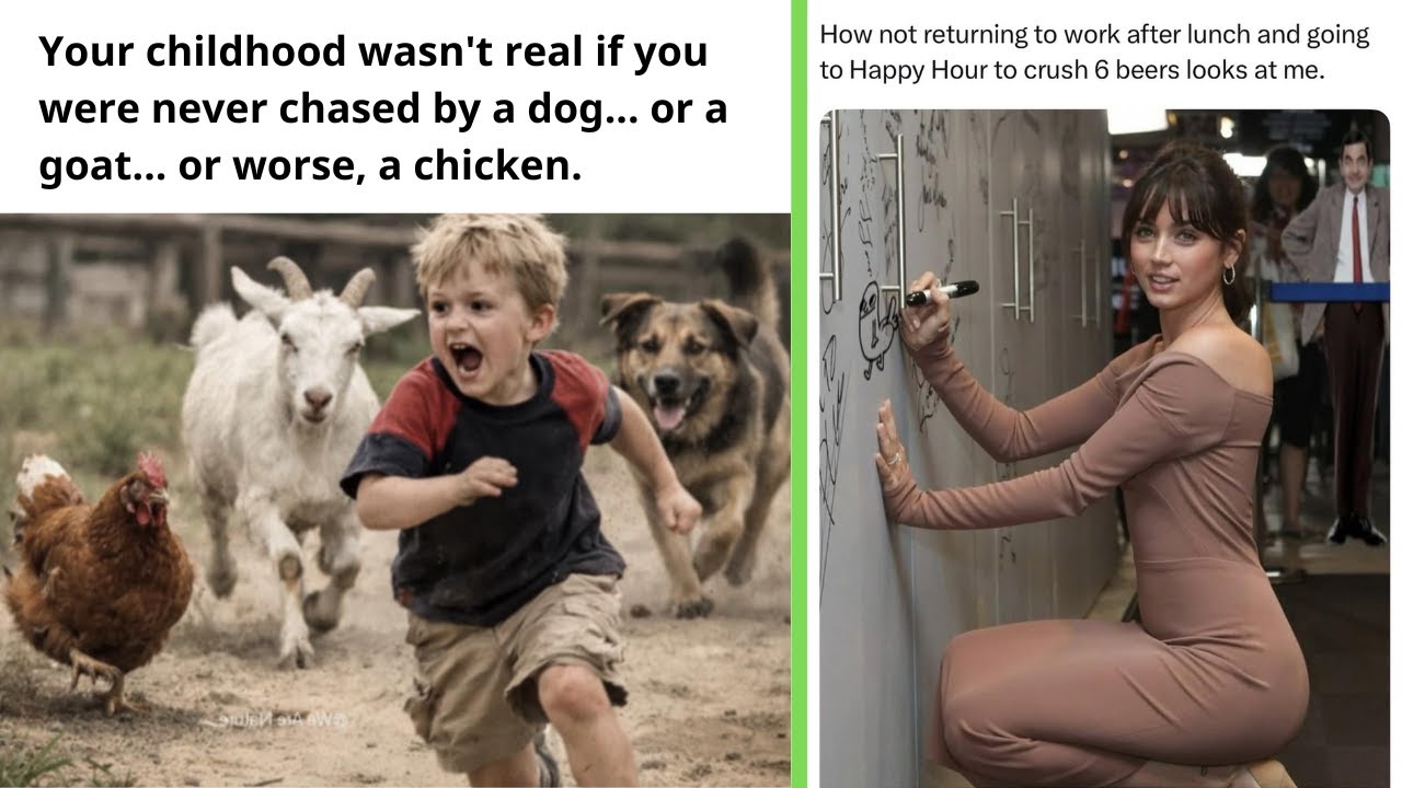 Funny Memes 130 | Your childhood wasn't real if you were never chased by a chicken