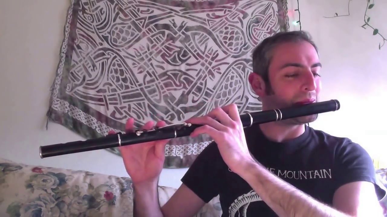 The Sally Gardens - Irish Flute - slow/fast