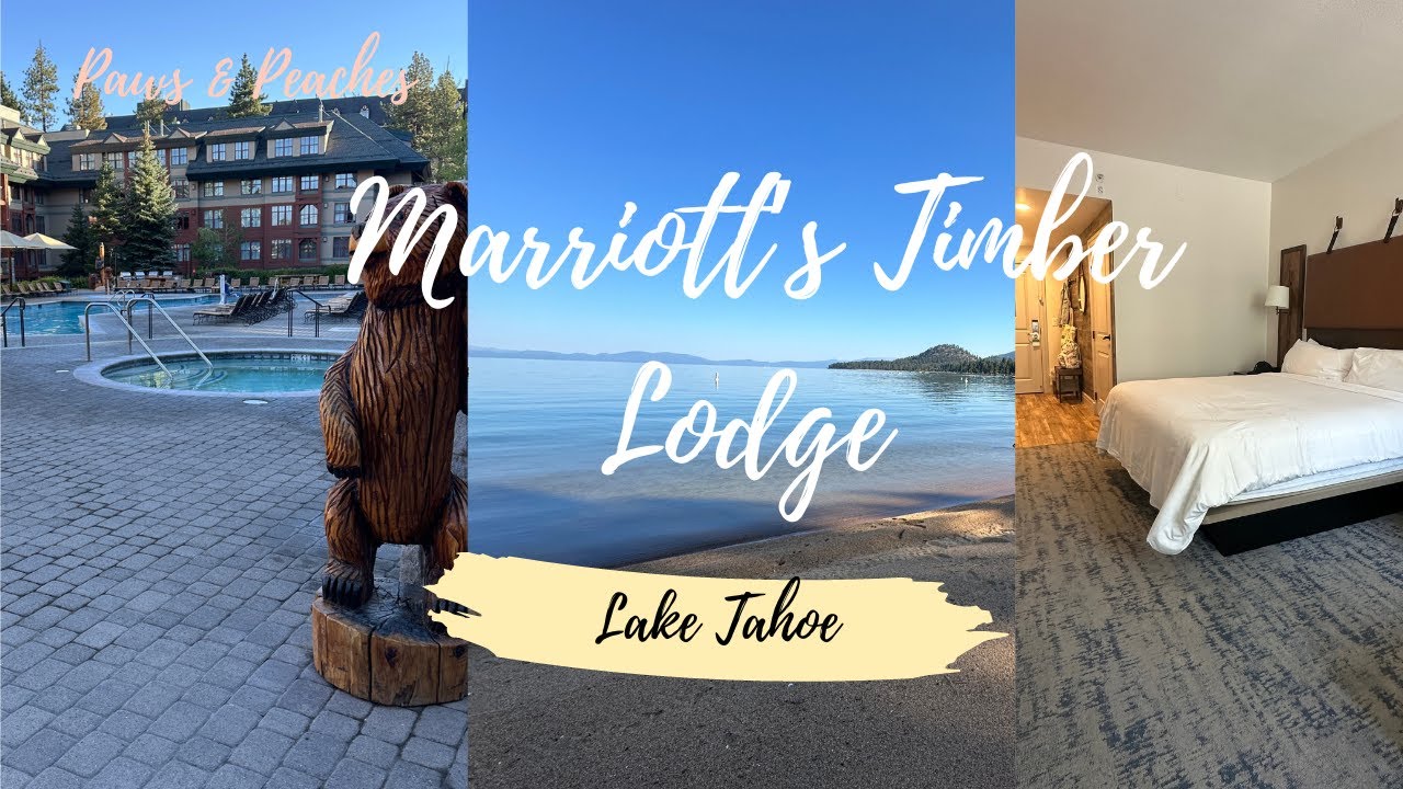 LAKE TAHOE MARRIOTT'S TIMBER LODGE - AUGUST 2024 - STUDIO KING ROOM - FAMILY TRAVEL VLOG!!