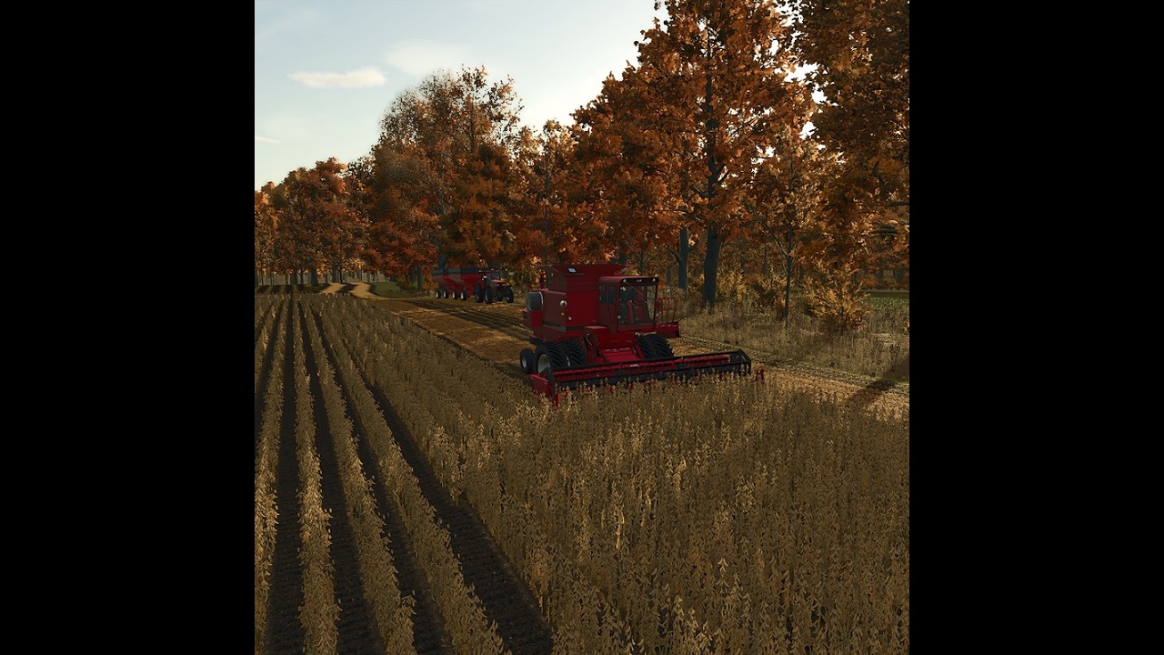 Farming Simulator 25 | Harvesting soybeans | Gage Ky