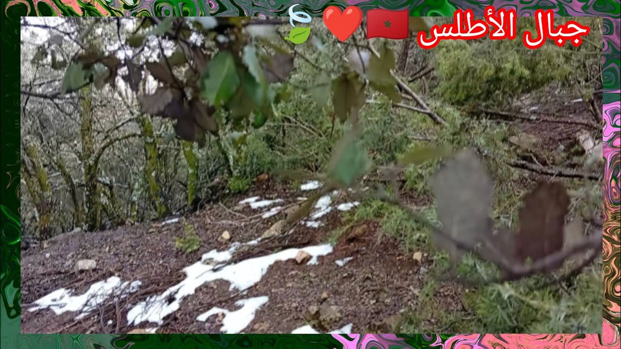 ✅جولة في جبال الأطلس 🇲🇦❤️🍃