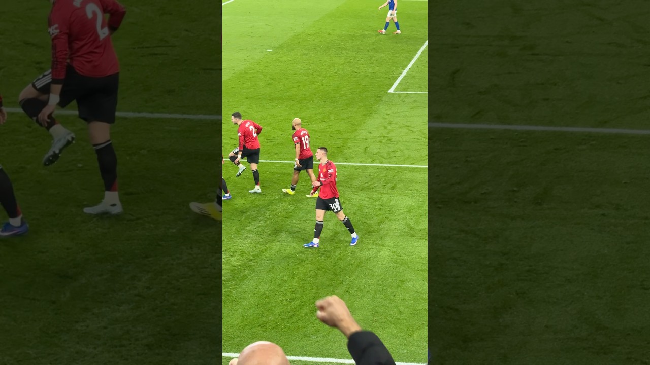 Sesko Goal today Vs Everton #manutd #sesko #goal #awayday