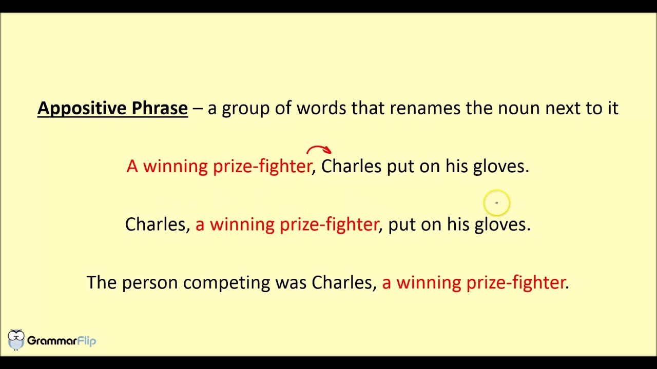 Appositive Phrases Grammar Lesson
