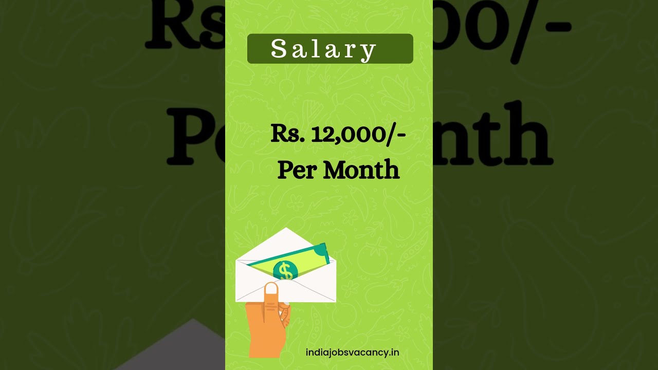 LIC HFL Apprentice Recruitment 2025🔥| 250 Vacancies | Graduates Apply Now! | Online Test + Interview