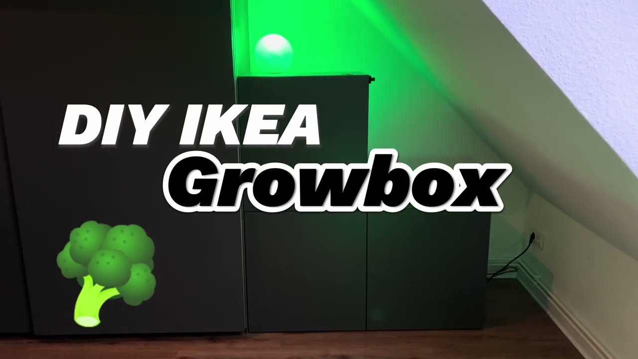 Growschrank DIY f&uuml;r jeden - Einfache Mini-Growbox zur Selbstversorgung - 50 Watt