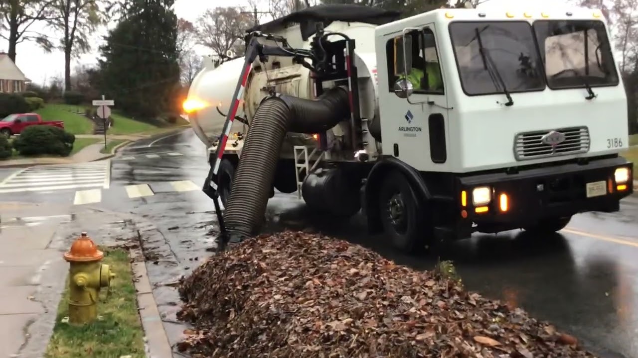 Arlington leaf collection part 1