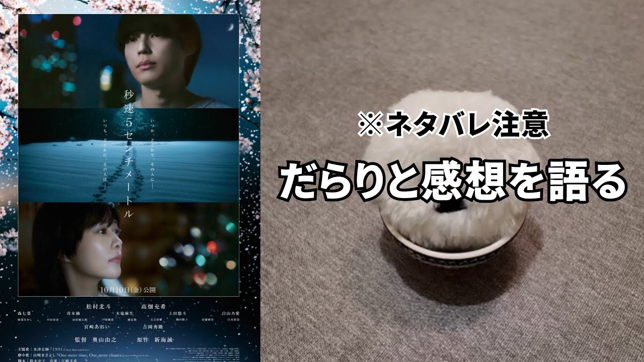 【秒速５センチメートル】見事な実写化。原作アニメの答え合わせがここにある。だらだら映画感想会。