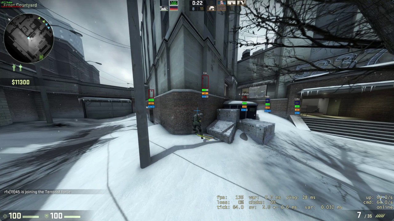 Another CS:GO vid