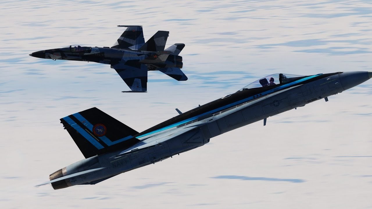 BFM. Красивый поединок двух Шершней { #jink #ijn #usn #bfm #dcs }