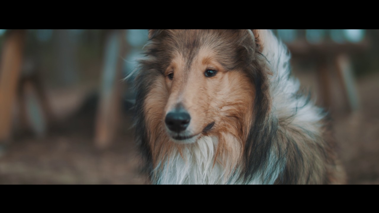 Ursa Mini Pro 4.6K EF Test Footage