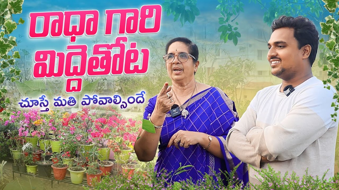 రాధా గారి terrace garden, creativity చూస్తే మతి పోవాల్సిందే @radhakankanalapalli1291
