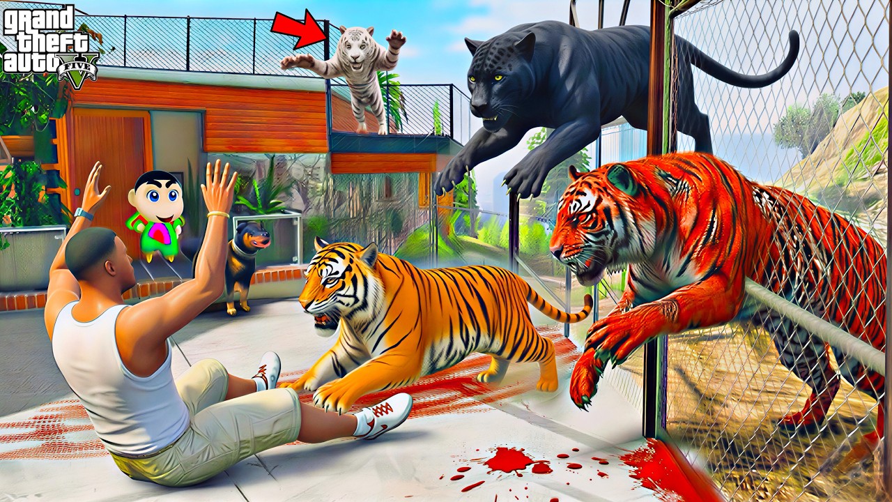 Franklin & Shinchan Chased by Hungry Red Tigers in Los Santos! 🐯😱 | GTA 5